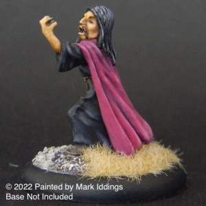 Evil Wizard