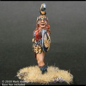 female Fighter with Scimitar and Shield