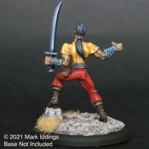 Brigand with Sword