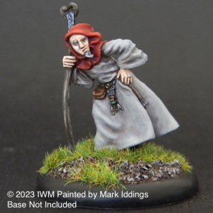 Old Wizard with Staff