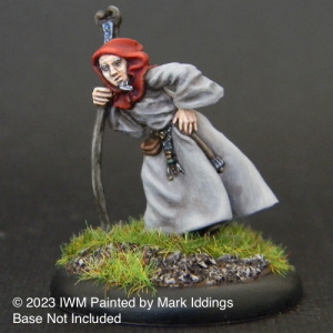 Old Wizard with Staff