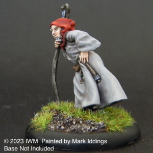 Old Wizard with Staff