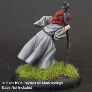 Old Wizard with Staff