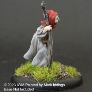 Old Wizard with Staff
