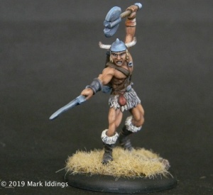 Human Barbarian