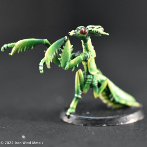 Small Mantis