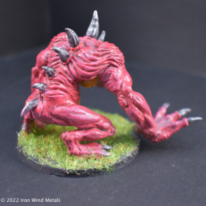 Razorback Momma
