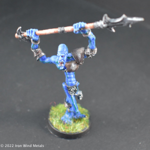 Close Combat Warrior 1