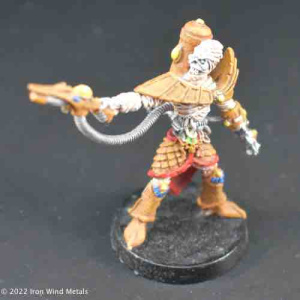 Fists of Anubis 1